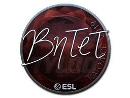 Sticker | BnTeT | Katowice 2019