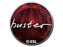 Sticker | buster | Katowice 2019