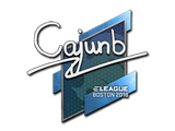Artwork for Sticker | cajunb | Boston 2018