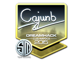 Artwork for Sticker | cajunb (Foil) | Cluj-Napoca 2015