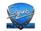 Artwork for Sticker | cajunb | Krakow 2017