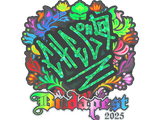 Artwork for Sticker | chelo (Holo) | Budapest 2025