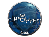 Artwork for Sticker | chopper | Katowice 2019