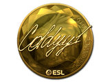 Artwork for Sticker | COLDYY1 (Gold) | Katowice 2019