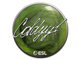 Artwork for Sticker | COLDYY1 | Katowice 2019
