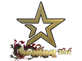 Artwork for Sticker | Complexity Gaming (Gold) | Shanghai 2024