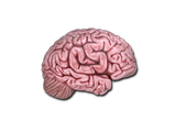 Artwork for Sticker | CS On The Mind