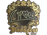 Artwork for Sticker | Cypher (Gold) | Budapest 2025