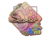 Artwork for Sticker | dexter (Holo) | Rio 2022