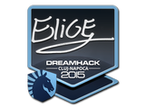 Artwork for Sticker | EliGE | Cluj-Napoca 2015