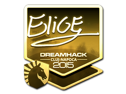 Sticker | EliGE | Cluj-Napoca 2015