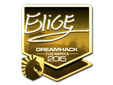 Artwork for Sticker | EliGE (Gold) | Cluj-Napoca 2015