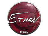 Artwork for Sticker | Ethan | Katowice 2019