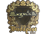 Artwork for Sticker | Ex3rcice (Gold) | Budapest 2025