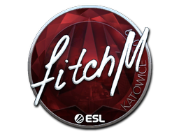 Sticker | fitch | Katowice 2019