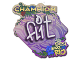Artwork for Sticker | FL1T (Champion) | Rio 2022