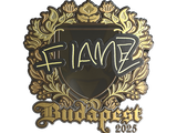 Artwork for Sticker | FlameZ (Gold) | Budapest 2025