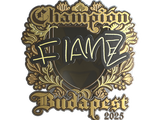 Artwork for Sticker | FlameZ (Gold, Champion) | Budapest 2025