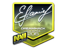 Sticker | flamie | Cluj-Napoca 2015