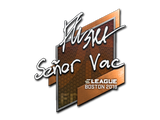 Artwork for Sticker | flusha | Boston 2018