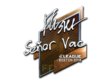 Artwork for Sticker | flusha (Foil) | Boston 2018