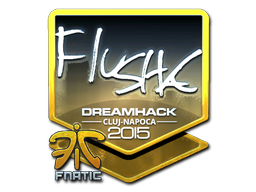 Sticker | flusha | Cluj-Napoca 2015