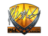 Artwork for Sticker | flusha (Foil) | Krakow 2017