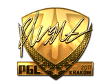 Artwork for Sticker | flusha (Gold) | Krakow 2017