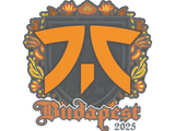 Artwork for Sticker | fnatic | Budapest 2025