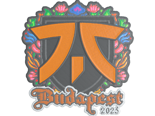 Sticker | fnatic | Budapest 2025