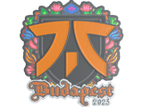 Sticker | fnatic (Embroidered) | Budapest 2025