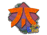 Artwork for Sticker | Fnatic (Glitter) | Rio 2022