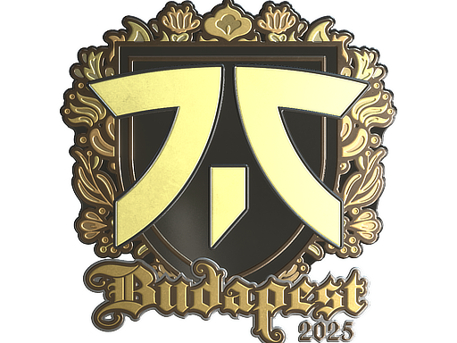 Sticker | fnatic | Budapest 2025