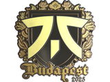 Artwork for Sticker | fnatic (Gold) | Budapest 2025