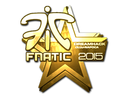 Sticker | Fnatic | Cluj-Napoca 2015