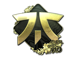 Sticker | Fnatic | Rio 2022