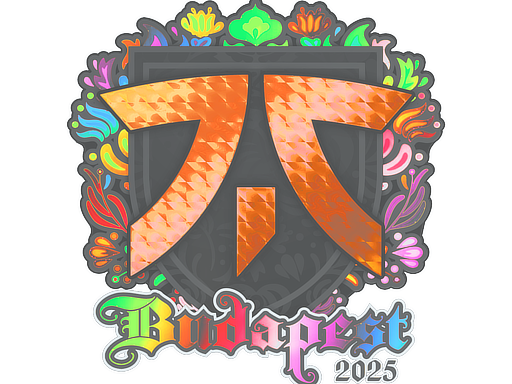 Sticker | fnatic | Budapest 2025