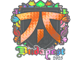 Artwork for Sticker | fnatic (Holo) | Budapest 2025