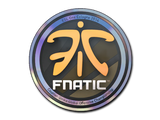 Artwork for Sticker | Fnatic (Holo) | Cologne 2014