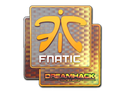Sticker | Fnatic | DreamHack 2014