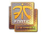 Artwork for Sticker | Fnatic (Holo) | DreamHack 2014