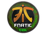 Artwork for Sticker | Fnatic (Holo) | Katowice 2019