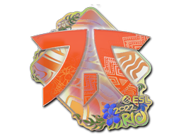 Sticker | Fnatic | Rio 2022