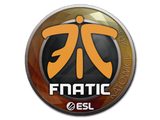 Artwork for Sticker | Fnatic | Katowice 2019