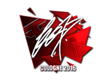 Artwork for Sticker | fox (Foil) | Cologne 2016