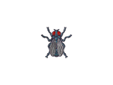 Artwork for Sticker | Fruit Fly (Foil)