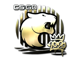 Sticker | FURIA | 2020 RMR