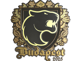 Artwork for Sticker | FURIA (Gold) | Budapest 2025