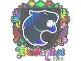 Artwork for Sticker | FURIA (Holo) | Budapest 2025