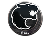 Artwork for Sticker | FURIA | Katowice 2019